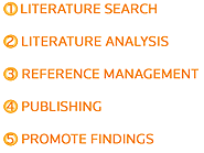 Research Workflow